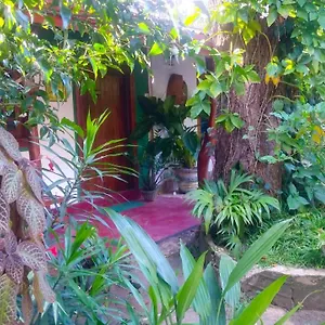 Gangula Eco Privatunterkunft