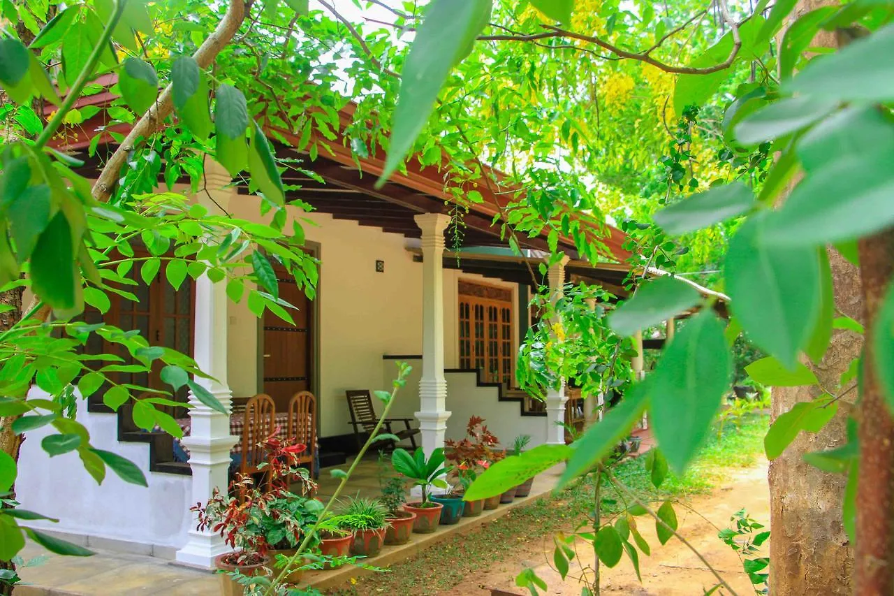 Sigiri Anu Homestay Sigiriya